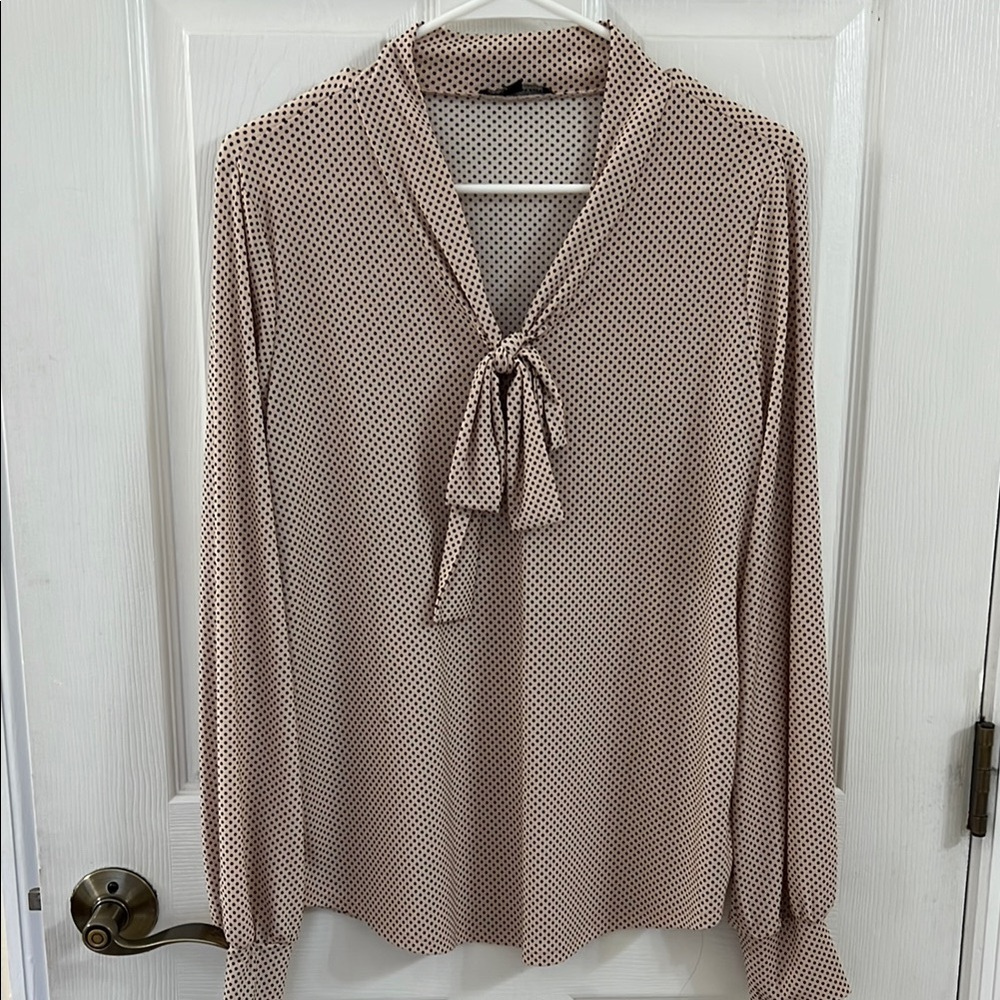 Polka Dot Blouse with Tie Neck